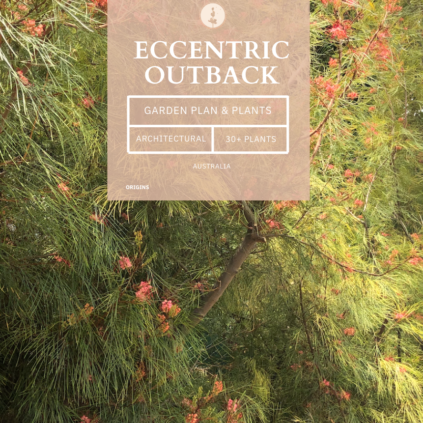 Eccentric Outback | Borderline Xeric | Curated Plant Set