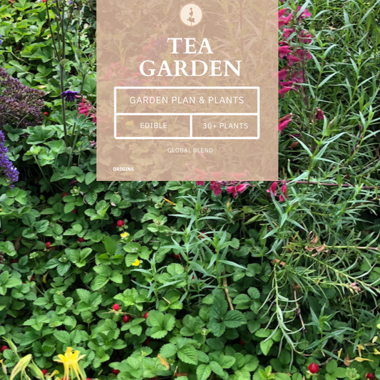 Culinary Tea Garden | Edible Plant Pack & Design Plan