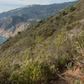 Malibu View | Curated California Native Plant Set