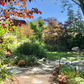 Shady Retreat | Curated California Native Plant Set