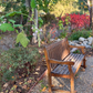 Shady Retreat | Curated California Native Plant Set