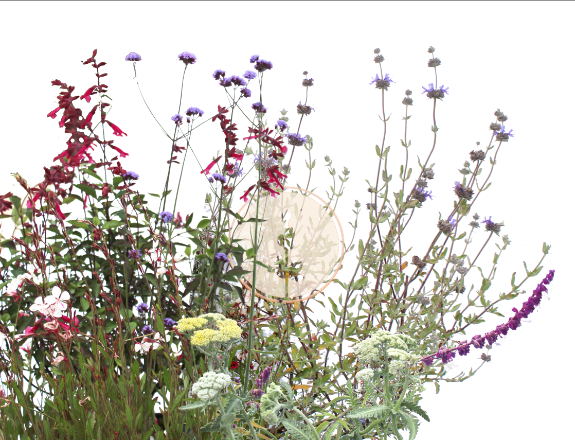 Mostly Native Preplanned Gardens