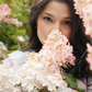 woman with panicle hydrangea flower pink