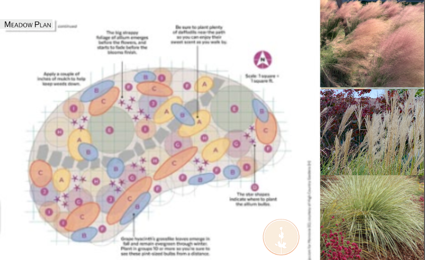 Custom Meadow Plan