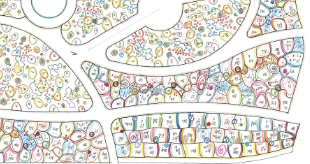 Custom Meadow Plan
