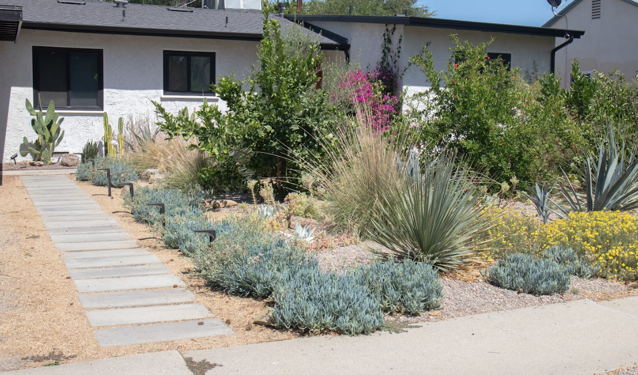 Casita Garden | 30+ Low-Water Plants | Standard Layout Plan Included