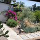 Casita Garden | 30+ Low-Water Plants | Standard Layout Plan Included