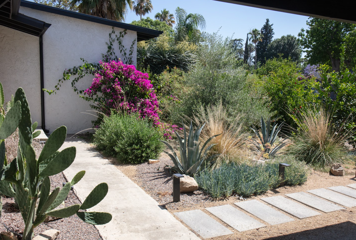 Casita Garden | 30+ Low-Water Plants | Standard Layout Plan Included