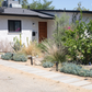 Casita Garden | 30+ Low-Water Plants | Standard Layout Plan Included