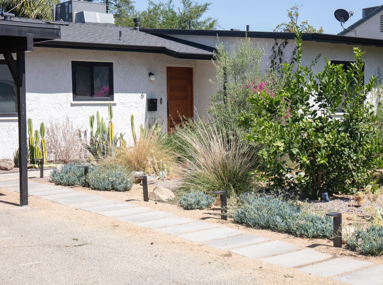 Casita Garden | 30+ Low-Water Plants | Standard Layout Plan Included