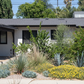 Casita Garden | 30+ Low-Water Plants | Standard Layout Plan Included