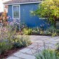 Bloom Basket | Mostly Native Plant Set | 16+ Plants & Layout Plan