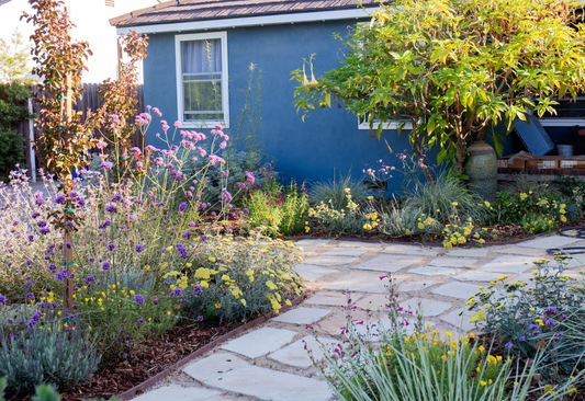 Bloom Basket | Mostly Native Plant Set | 16+ Plants & Layout Plan