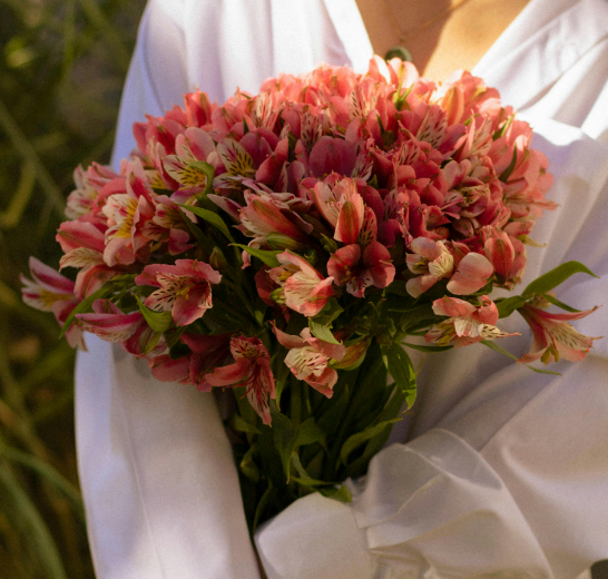 Muireann's Cut-Flower Garden + Frontyard fillers