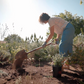 Mediterranean Magic | Low-Water Frontyard | Curated Plant Set