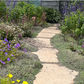NEW Malibu View |Sun-Drenched California Native Chaparral Garden | 30+ Plants w/ Layout Plan