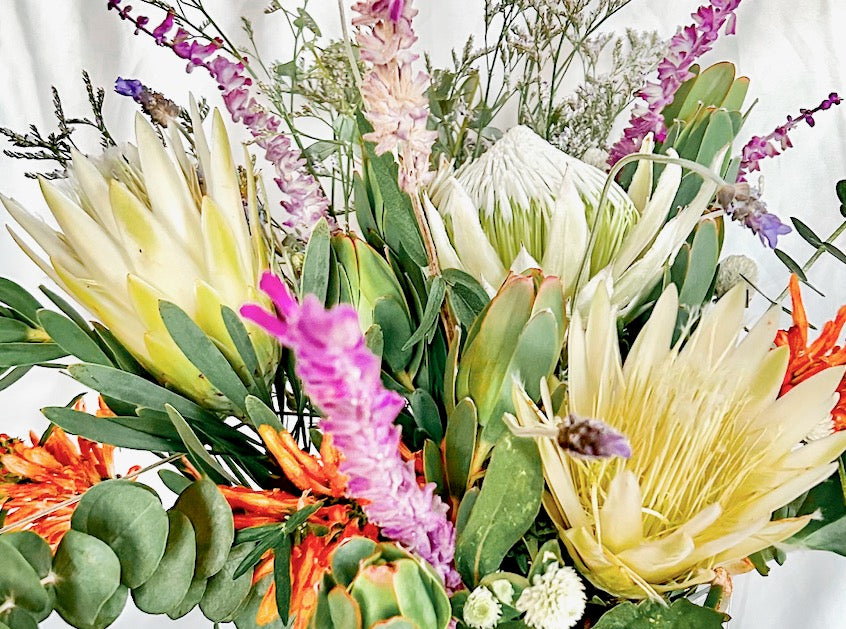 Brie's Bouquet | Low-Water Cut Flower Garden | Curated Plant Set