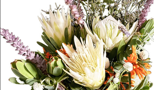 Brie's Bouquet | Low-Water Cut Flower Garden | Curated Plant Set