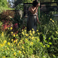 Brie's Bouquet | Low-Water Cut Flower Garden | Curated Plant Set
