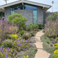 NEW Malibu View |Sun-Drenched California Native Chaparral Garden | 30+ Plants w/ Layout Plan
