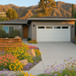 Chaparral Wildflower | California Native Wildflowers | 30+ Plants & Basic Layout Plan