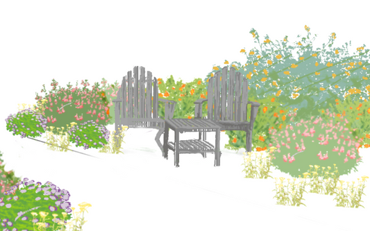 NEW! Cali Splash| California Native Color Garden | 25+ Plants w/ Layout Plan