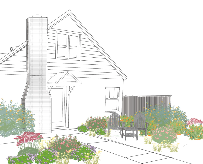 NEW! Cali Splash| California Native Color Garden | 25+ Plants w/ Layout Plan