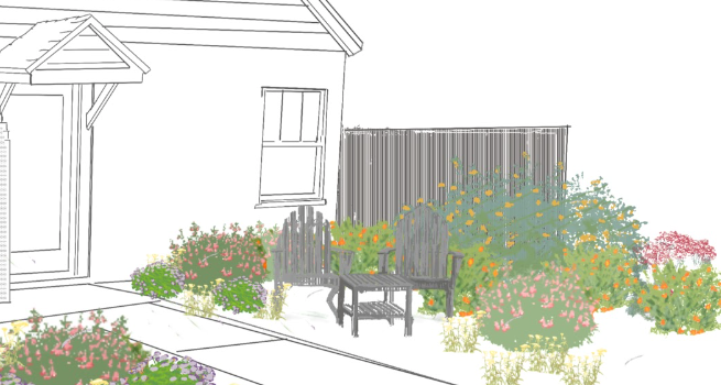 NEW! Cali Splash| California Native Color Garden | 25+ Plants w/ Layout Plan