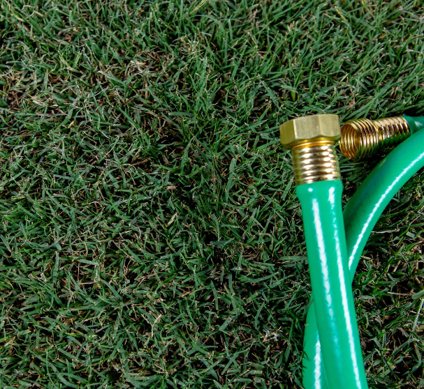 Custom Sod Order  - 1350 sq.ft. x Tahoma 31 - Delivery included