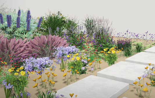 Superbloom Selfie | Northern California Native Wildflowers | 30+ Plants & Basic Layout Plan