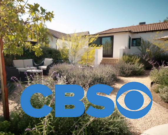 Load video: meet the founder of California Wild Gardens on CBS&#39;s destination L.A. TV interview