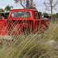 Deer Grass Meadow Pack