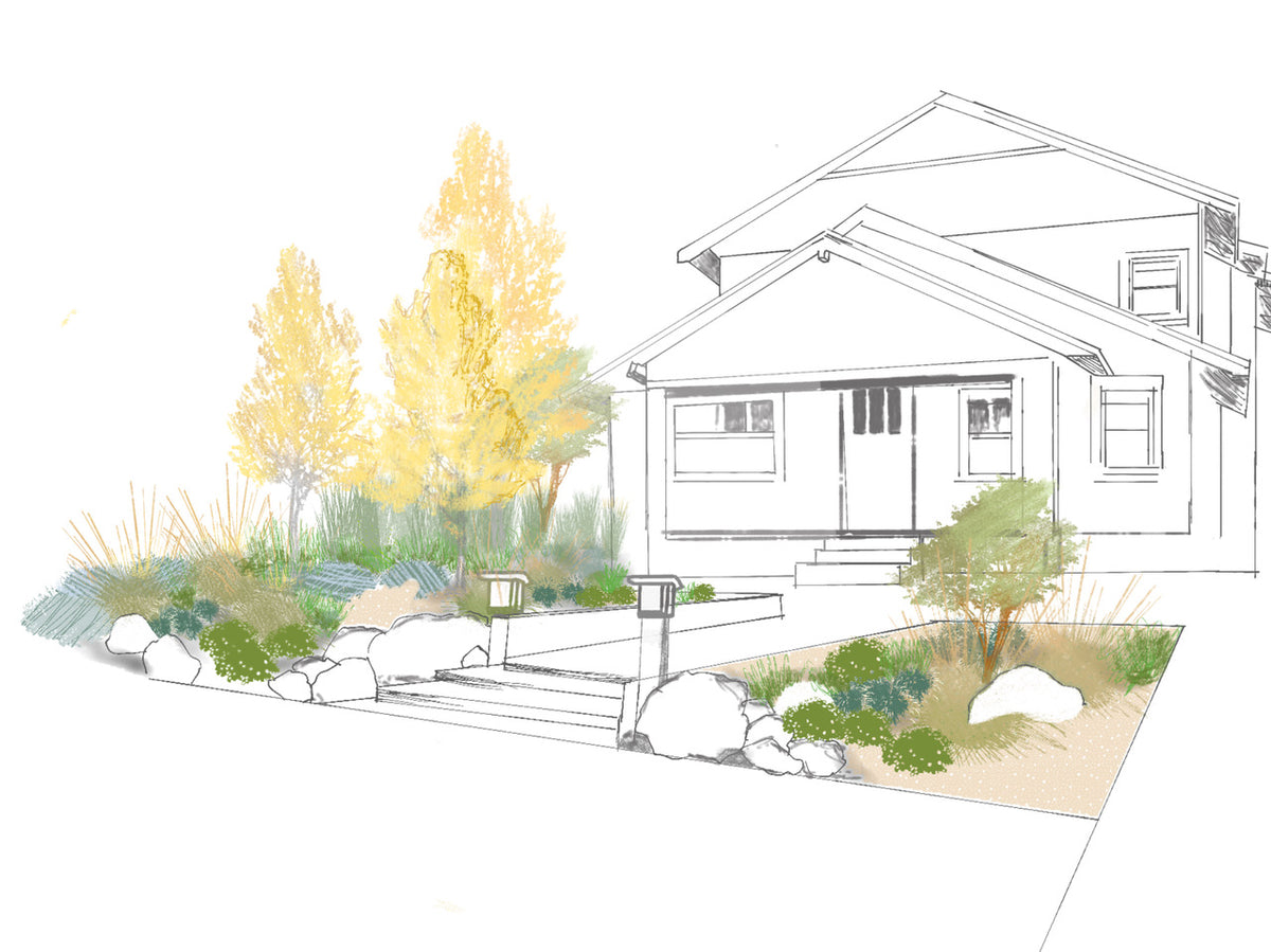 Easy Autumn | California Fall Color Garden | 30+ Plants & Planting Plan