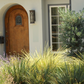 Lomandra Lawn Grass Pack | Low-water Meadow Lawn Alternative