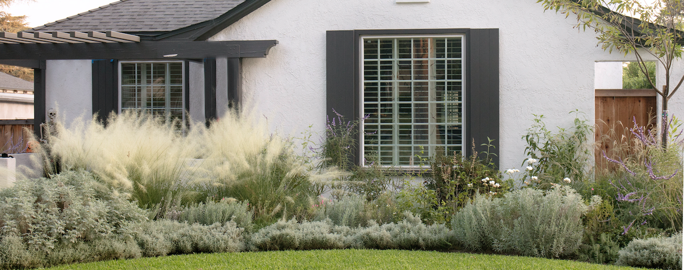 Soft Tuscan | Mediterranean Plant Package & Plan