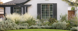 Soft Tuscan | Mediterranean Plant Package & Plan