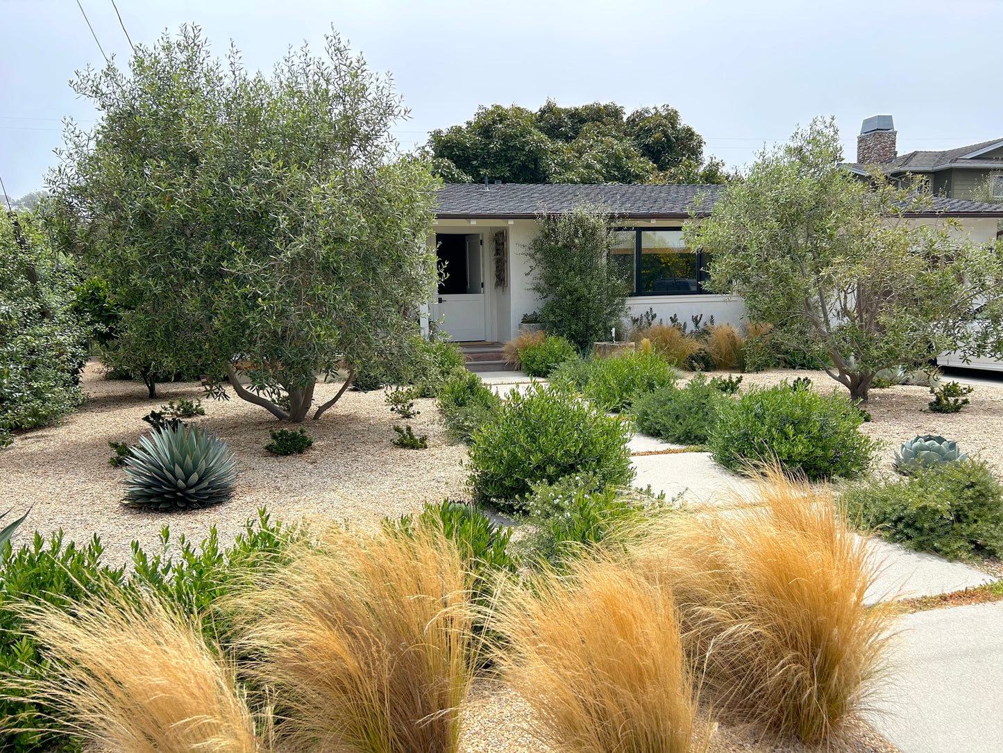 Custom Plant Order - Rina Phase 1