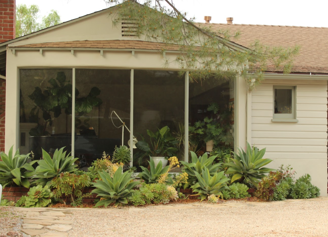 succulent front yard Succulent Garden | California Landscape Design