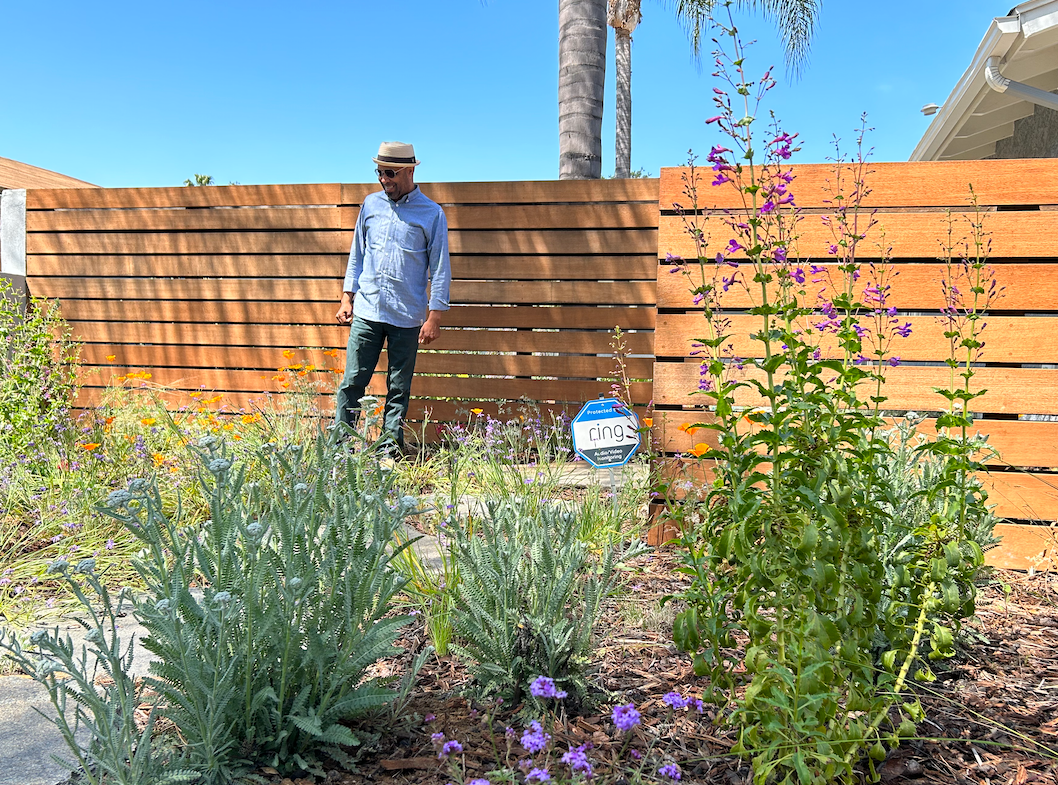 Superbloom Selfie | Southern California Native | Plant Package & Design Plan