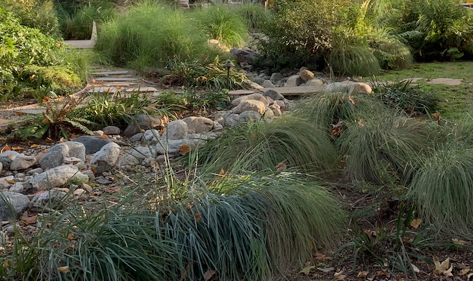 Deer Grass Meadow Pack