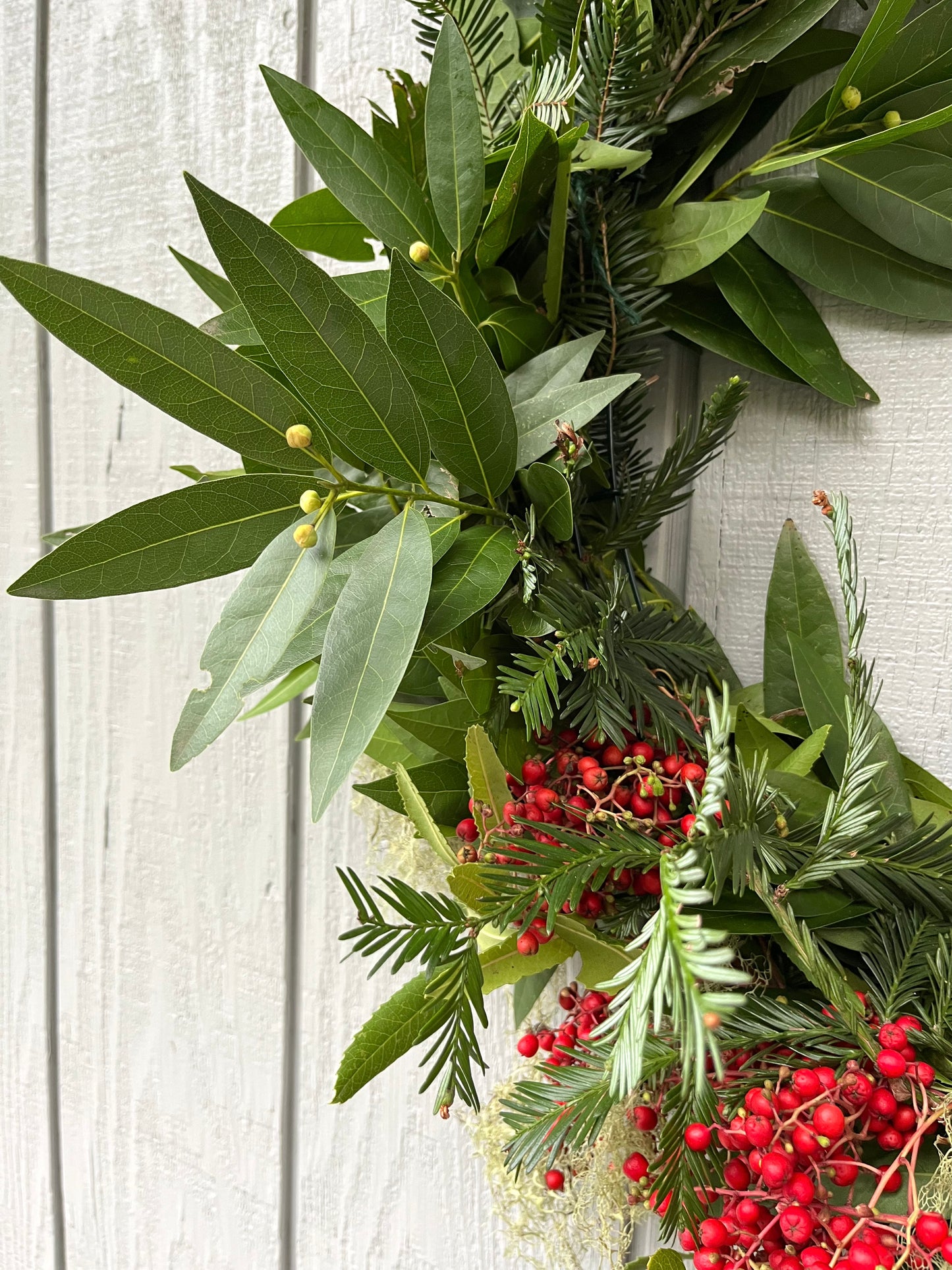 Live California Bay Laurel & Balsam Fir Wreath - 28" Ultra Fragrant Natural Holiday Decor
