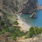 Catalina Island | Curated California Native Plant Set
