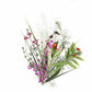 Craftsman Small Plant Pack